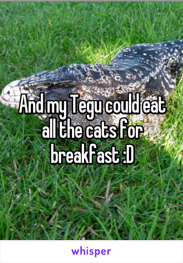 And my Tegu could eat all the cats for breakfast :D