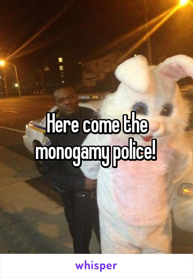 Here come the monogamy police! 