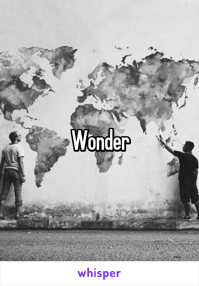 Wonder