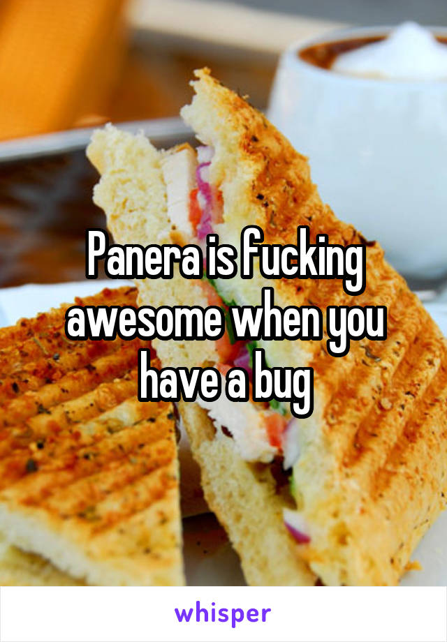 Panera is fucking awesome when you have a bug