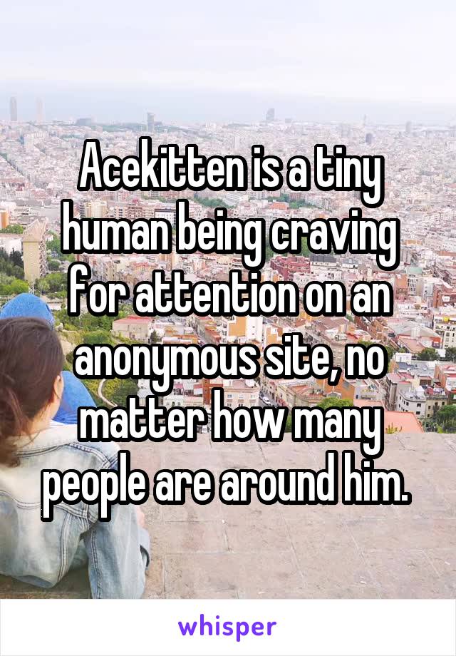 Acekitten is a tiny human being craving for attention on an anonymous site, no matter how many people are around him. 