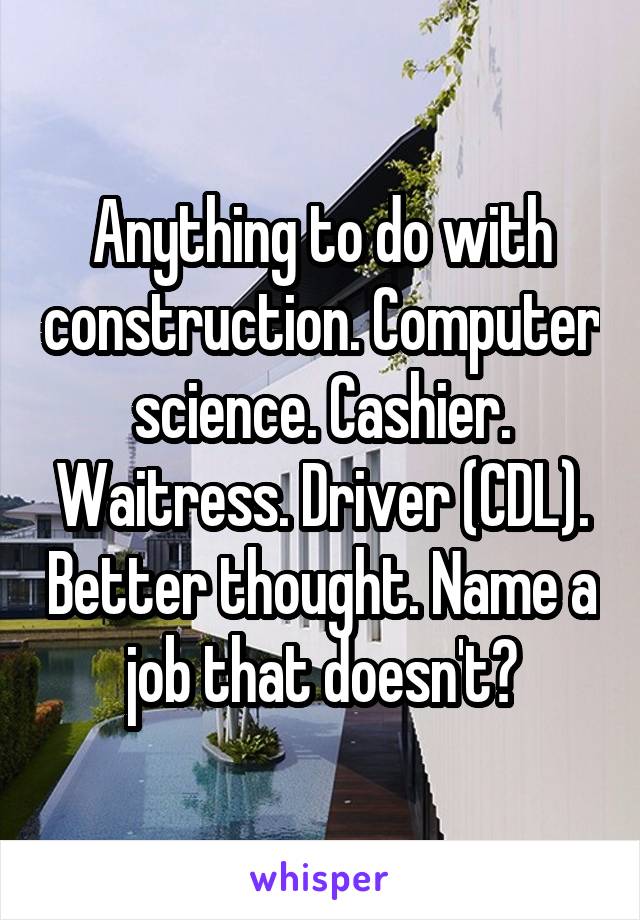 Anything to do with construction. Computer science. Cashier. Waitress. Driver (CDL). Better thought. Name a job that doesn't?