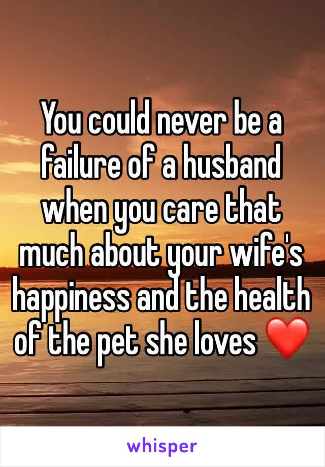 You could never be a failure of a husband when you care that much about your wife's happiness and the health of the pet she loves ❤️