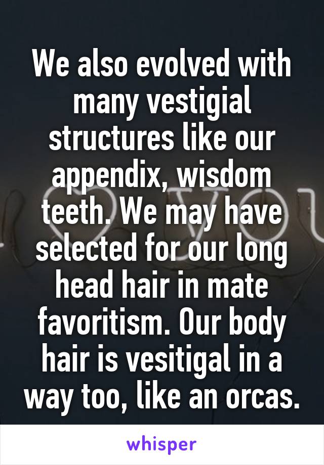 We also evolved with many vestigial structures like our appendix, wisdom teeth. We may have selected for our long head hair in mate favoritism. Our body hair is vesitigal in a way too, like an orcas.