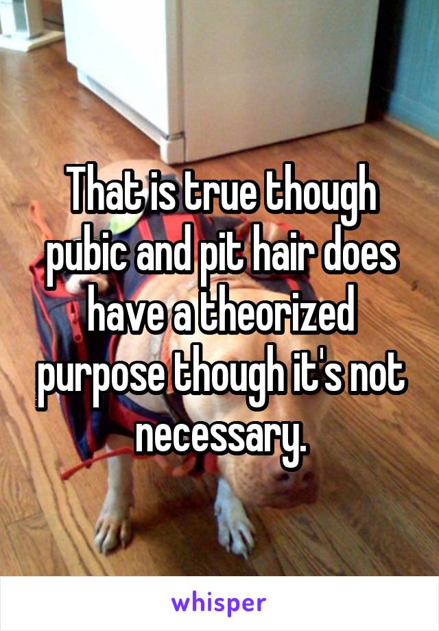 That is true though pubic and pit hair does have a theorized purpose though it's not necessary.