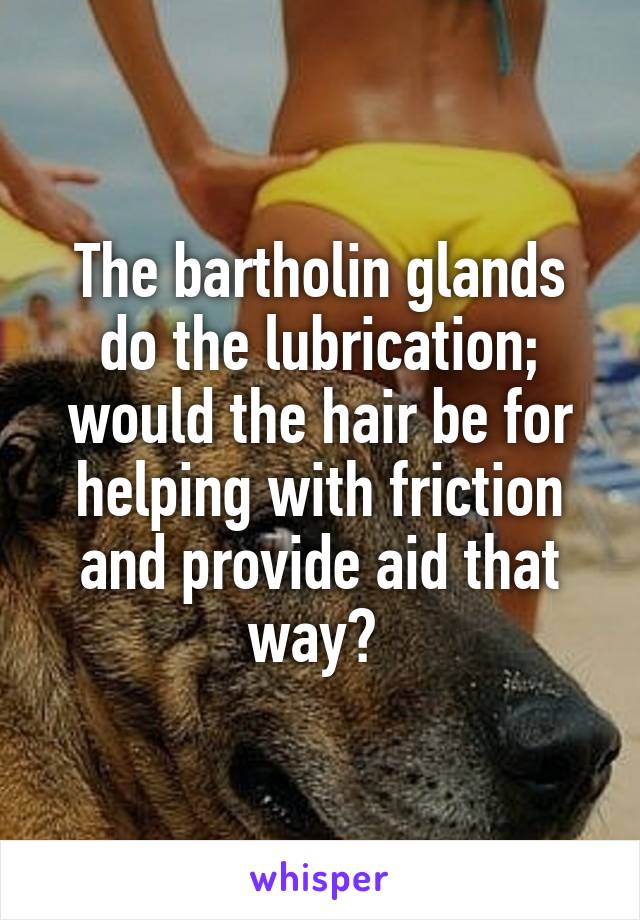 The bartholin glands do the lubrication; would the hair be for helping with friction and provide aid that way? 