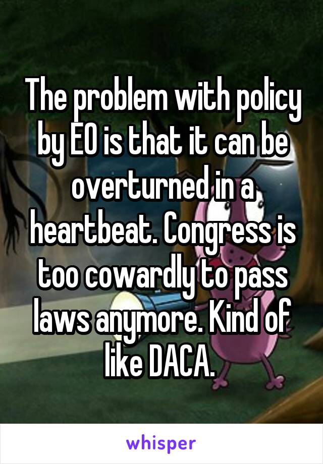 The problem with policy by EO is that it can be overturned in a heartbeat. Congress is too cowardly to pass laws anymore. Kind of like DACA. 