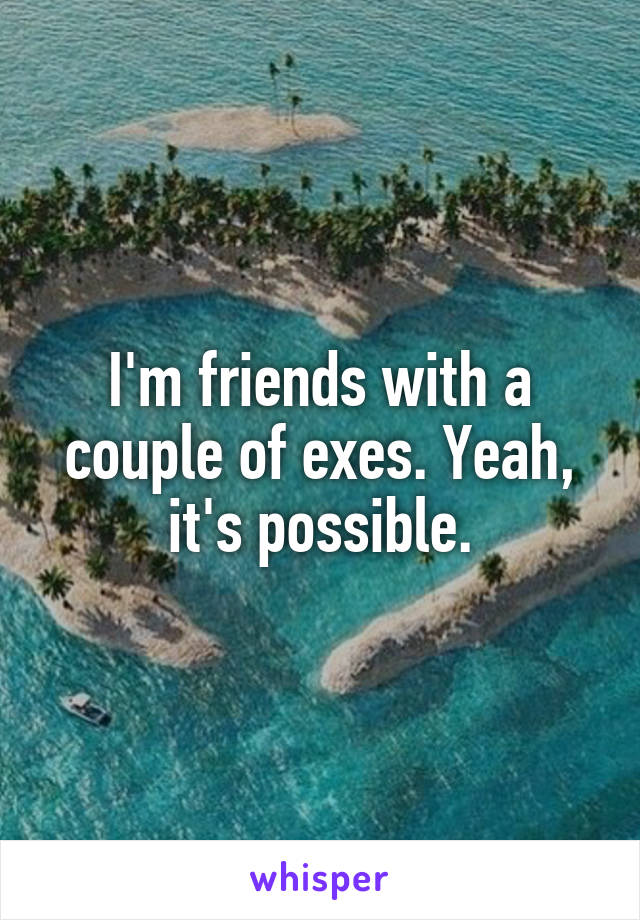 I'm friends with a couple of exes. Yeah, it's possible.