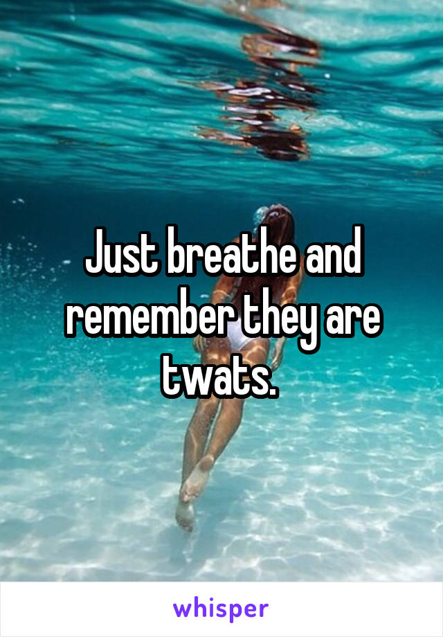 Just breathe and remember they are twats. 