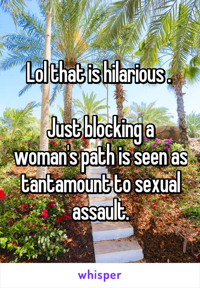 Lol that is hilarious . 

Just blocking a woman's path is seen as tantamount to sexual assault.