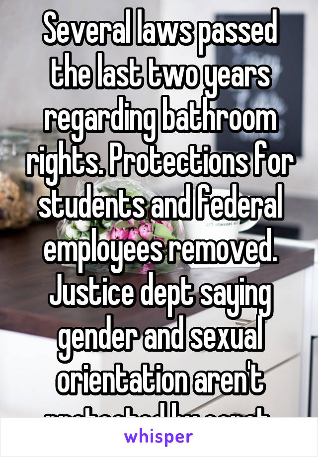 Several laws passed the last two years regarding bathroom rights. Protections for students and federal employees removed. Justice dept saying gender and sexual orientation aren't protected by const.