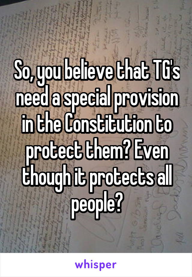 So, you believe that TG's need a special provision in the Constitution to protect them? Even though it protects all people?