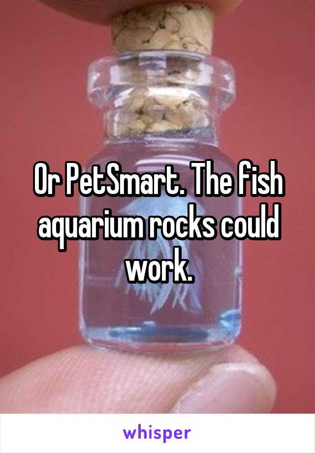 Or PetSmart. The fish aquarium rocks could work.