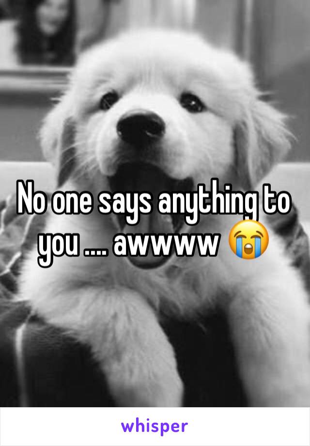 No one says anything to you .... awwww 😭