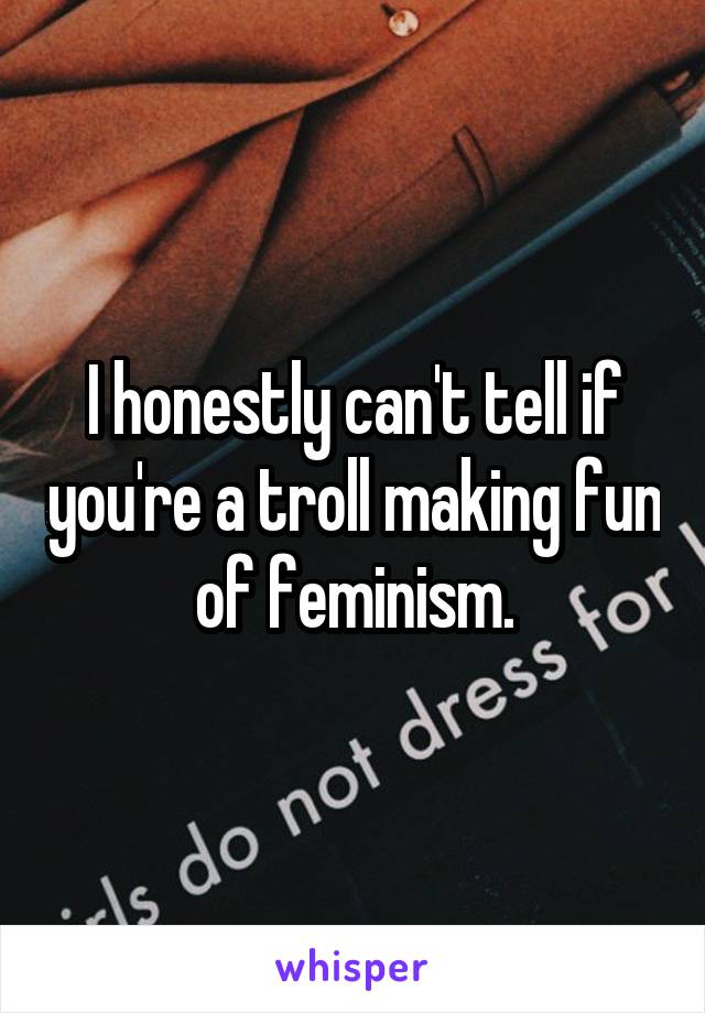 I honestly can't tell if you're a troll making fun of feminism.