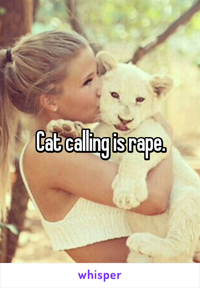 Cat calling is rape.