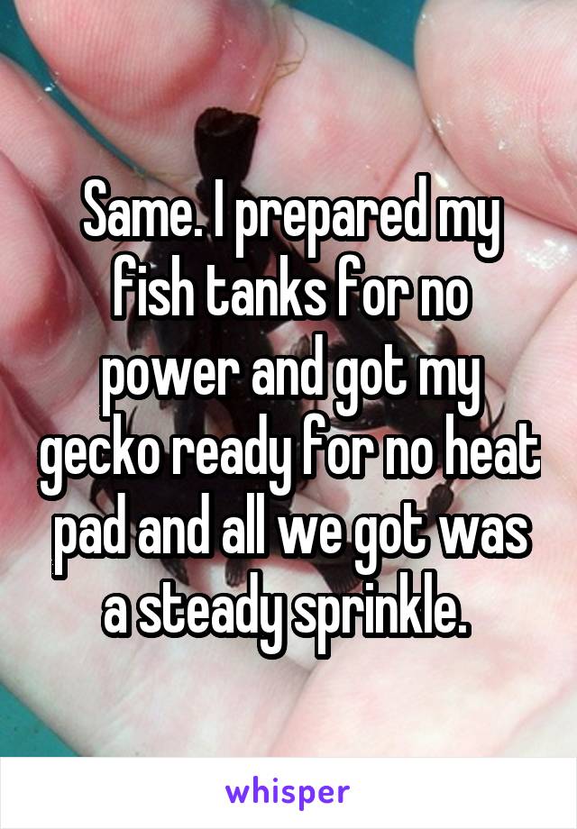 Same. I prepared my fish tanks for no power and got my gecko ready for no heat pad and all we got was a steady sprinkle. 