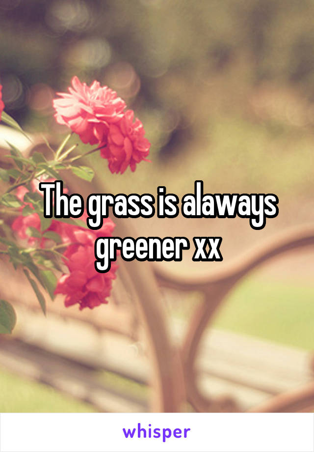 The grass is alaways greener xx