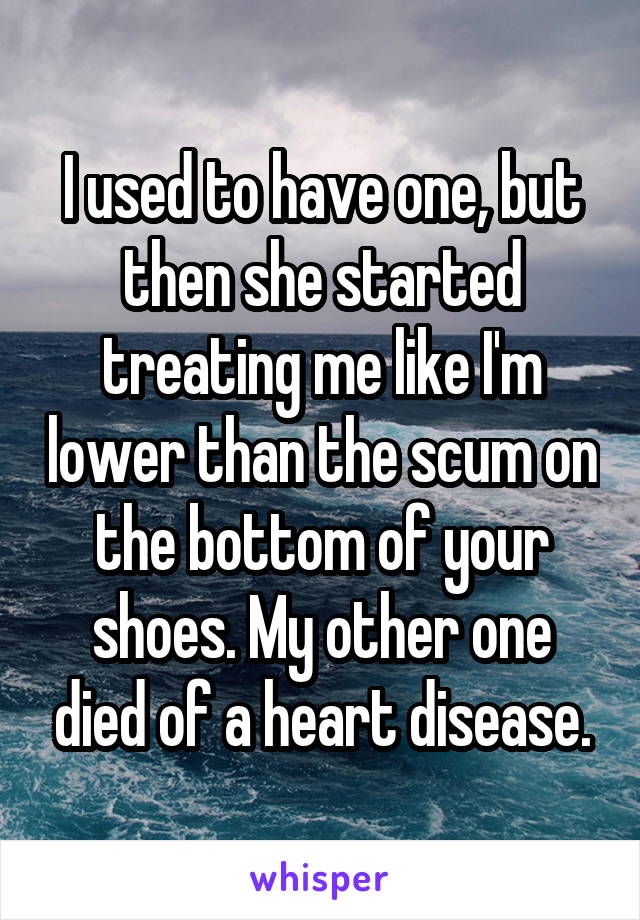 I used to have one, but then she started treating me like I'm lower than the scum on the bottom of your shoes. My other one died of a heart disease.