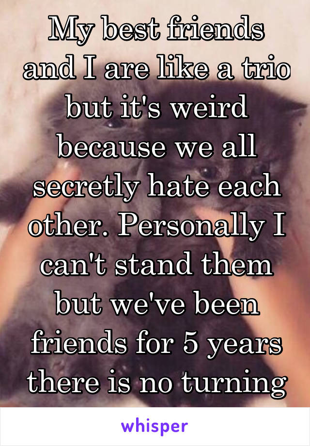 My best friends and I are like a trio but it's weird because we all secretly hate each other. Personally I can't stand them but we've been friends for 5 years there is no turning back now.