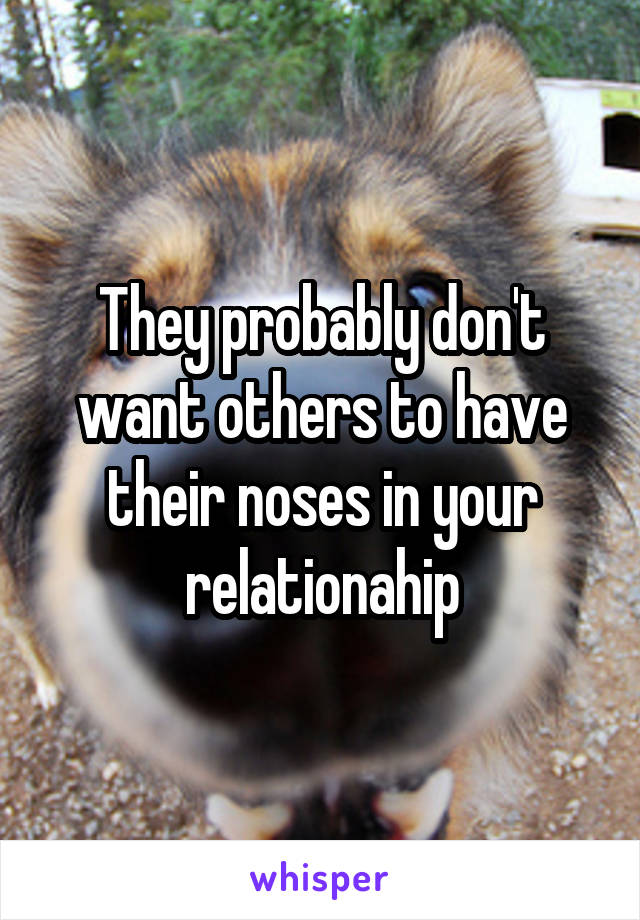 They probably don't want others to have their noses in your relationahip