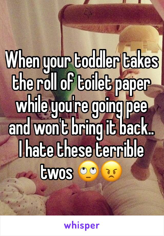 When your toddler takes the roll of toilet paper while you're going pee and won't bring it back.. 
I hate these terrible twos 🙄😠