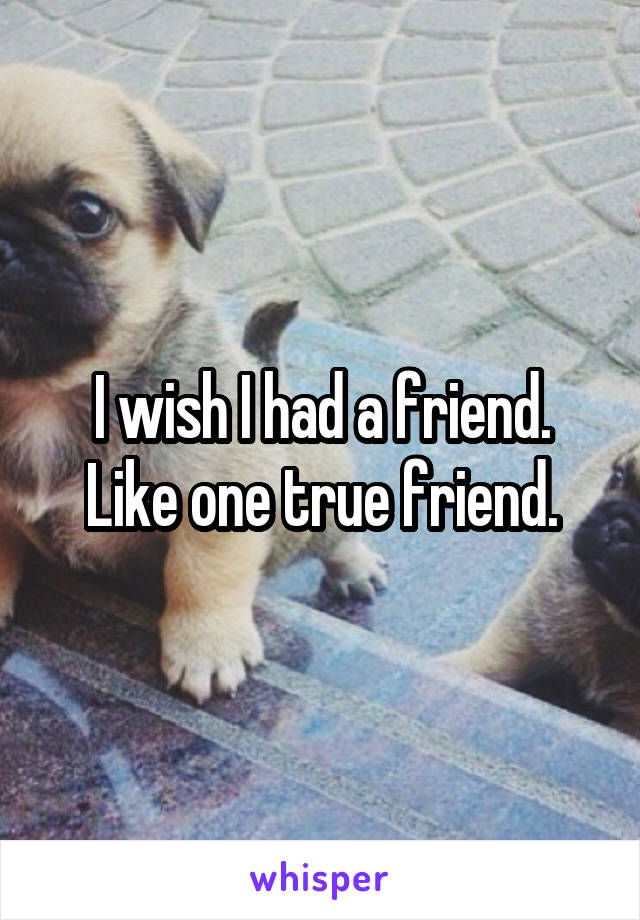 I wish I had a friend. Like one true friend.