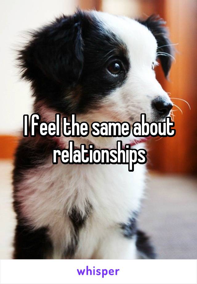 I feel the same about relationships