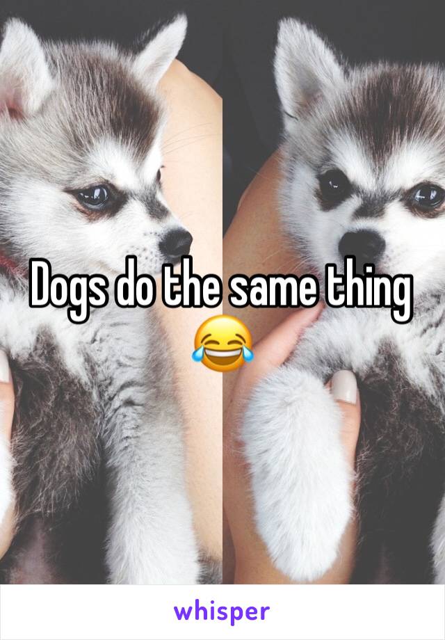 Dogs do the same thing 😂