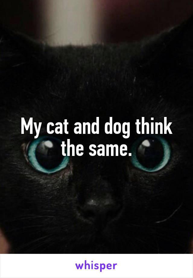 My cat and dog think the same.