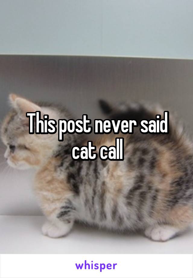 This post never said cat call