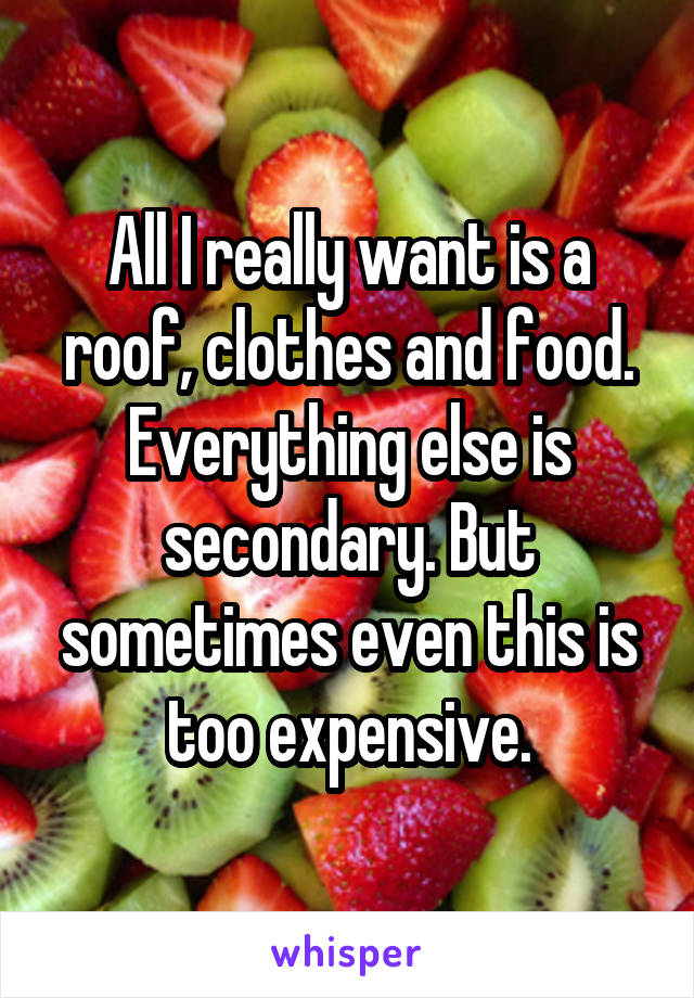All I really want is a roof, clothes and food. Everything else is secondary. But sometimes even this is too expensive.