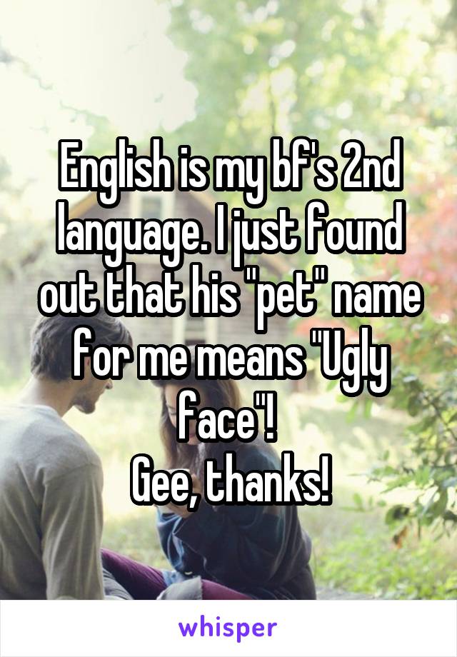 English is my bf's 2nd language. I just found out that his "pet" name for me means "Ugly face"! 
Gee, thanks!