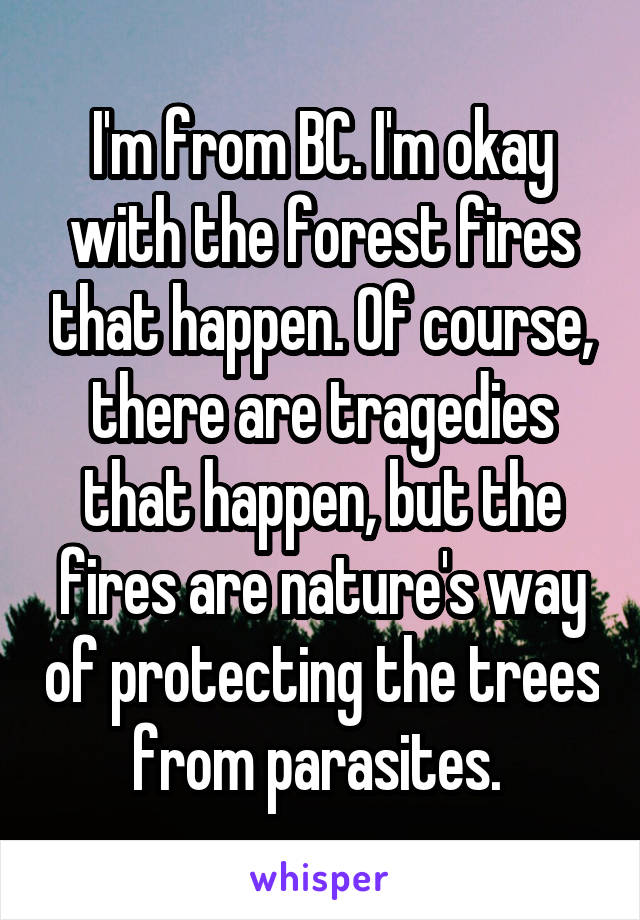 I'm from BC. I'm okay with the forest fires that happen. Of course, there are tragedies that happen, but the fires are nature's way of protecting the trees from parasites. 