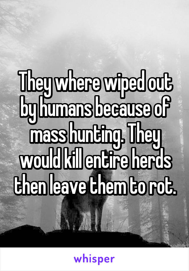 They where wiped out by humans because of mass hunting. They would kill entire herds then leave them to rot.