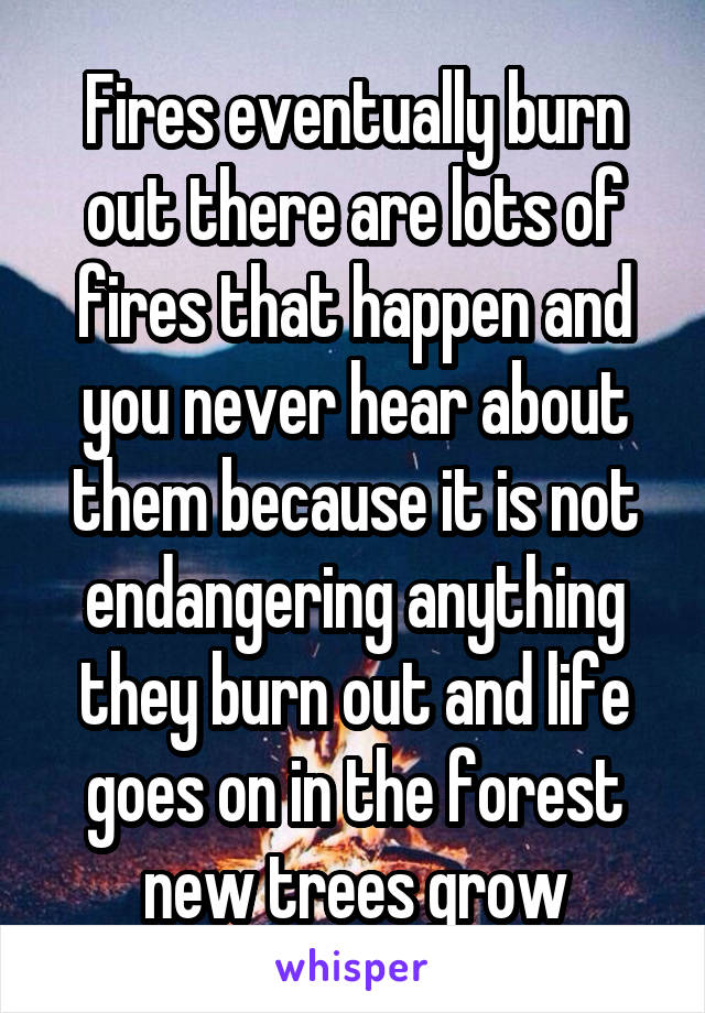 Fires eventually burn out there are lots of fires that happen and you never hear about them because it is not endangering anything they burn out and life goes on in the forest new trees grow