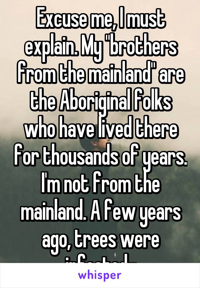 Excuse me, I must explain. My "brothers from the mainland" are the Aboriginal folks who have lived there for thousands of years. I'm not from the mainland. A few years ago, trees were infested-