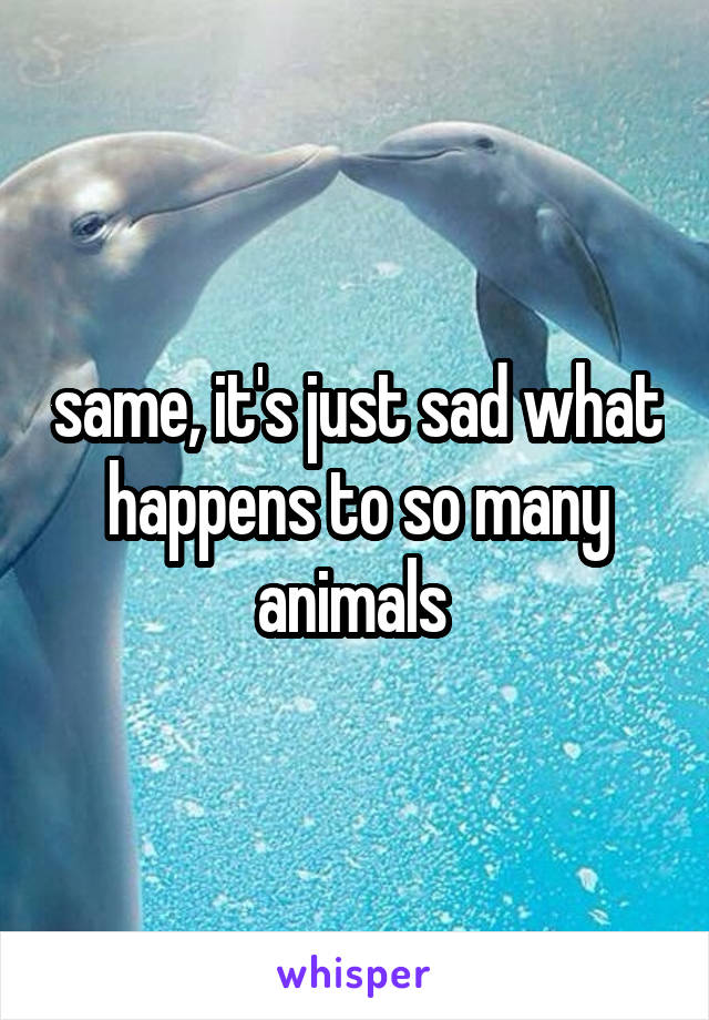 same, it's just sad what happens to so many animals 