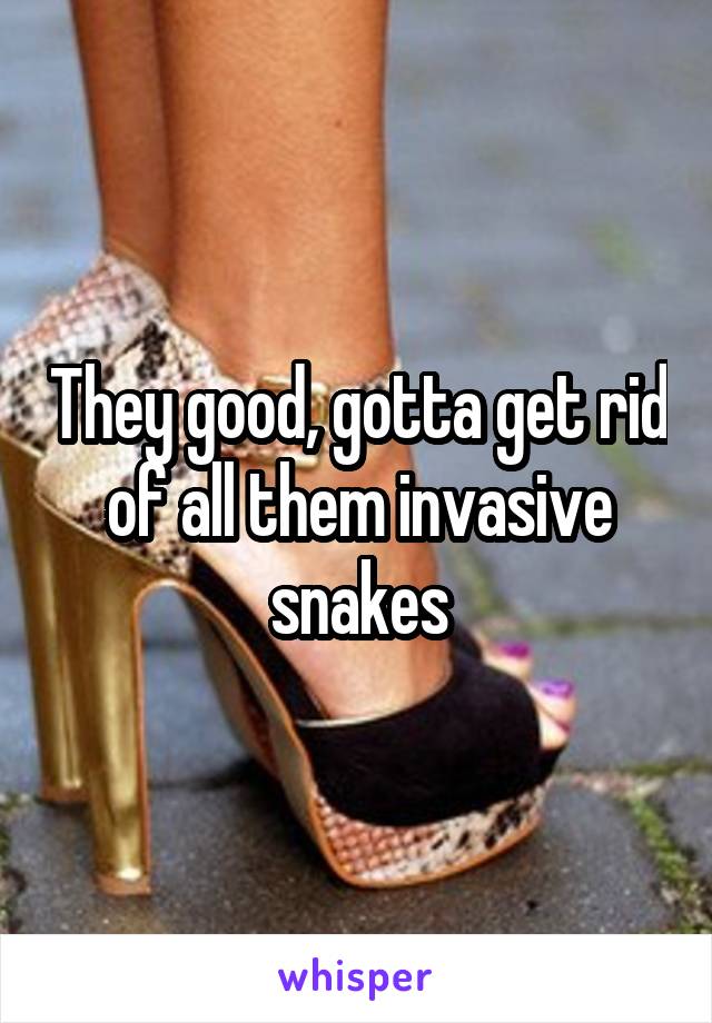 They good, gotta get rid of all them invasive snakes