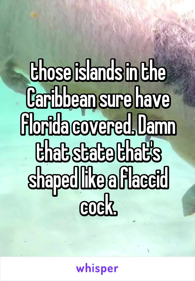 those islands in the Caribbean sure have florida covered. Damn that state that's shaped like a flaccid cock.