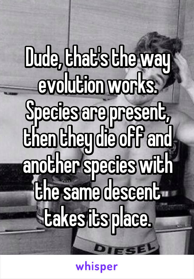 Dude, that's the way evolution works. Species are present, then they die off and another species with the same descent takes its place.