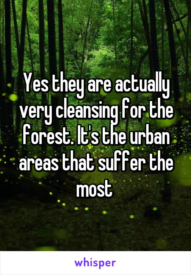 Yes they are actually very cleansing for the forest. It's the urban areas that suffer the most 