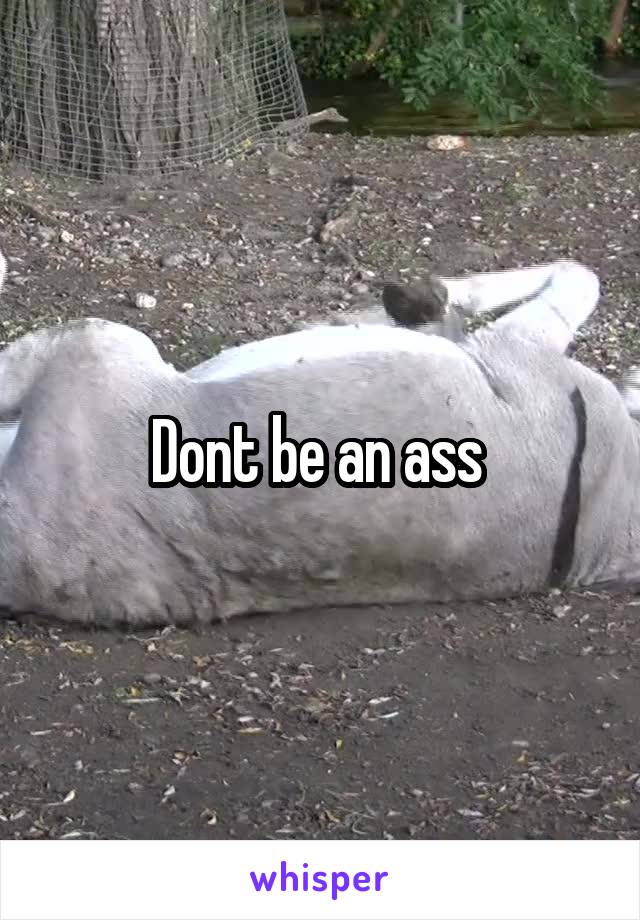 Dont be an ass 