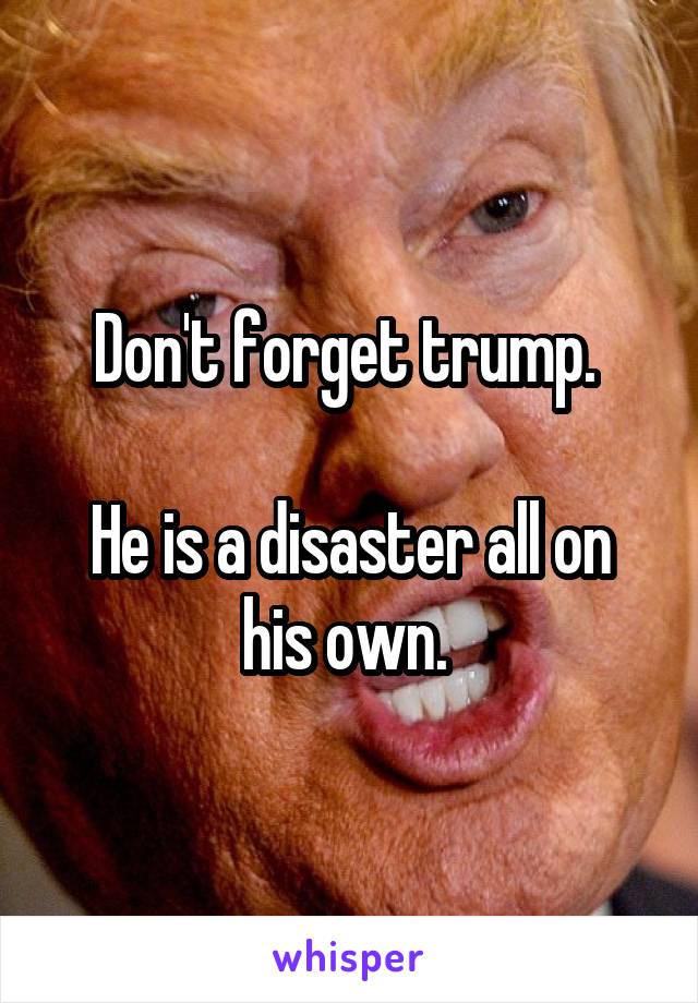 Don't forget trump. 

He is a disaster all on his own. 