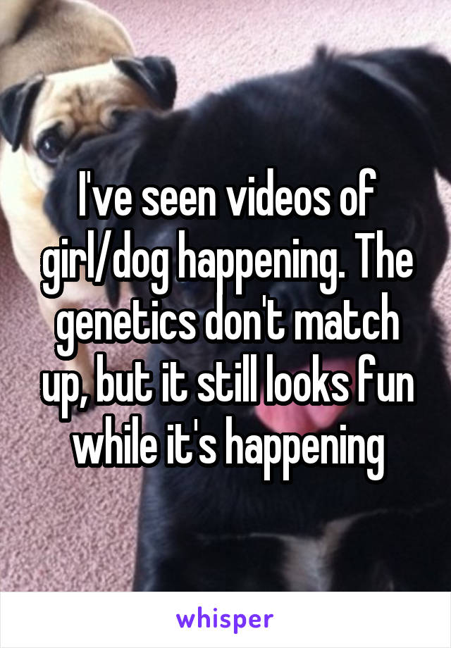 I've seen videos of girl/dog happening. The genetics don't match up, but it still looks fun while it's happening