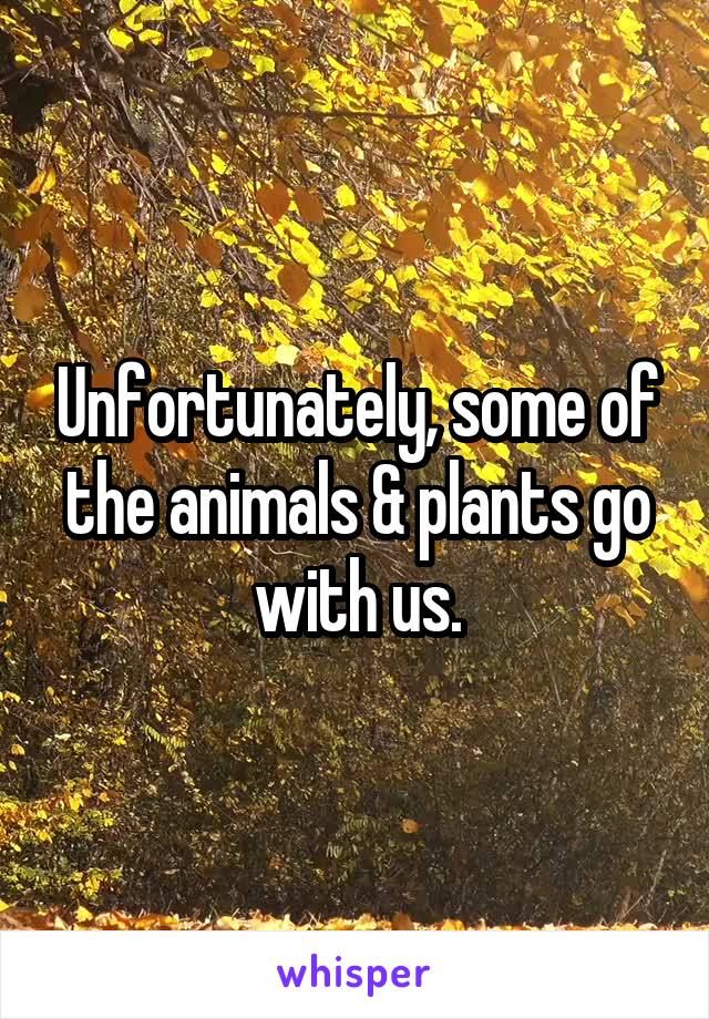 Unfortunately, some of the animals & plants go with us.