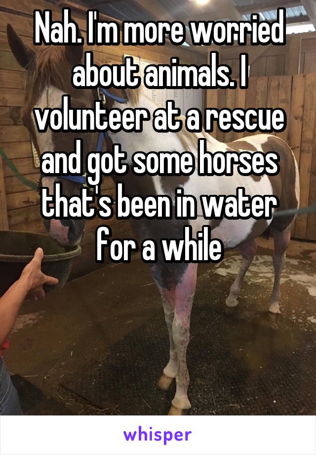 Nah. I'm more worried about animals. I volunteer at a rescue and got some horses that's been in water for a while



