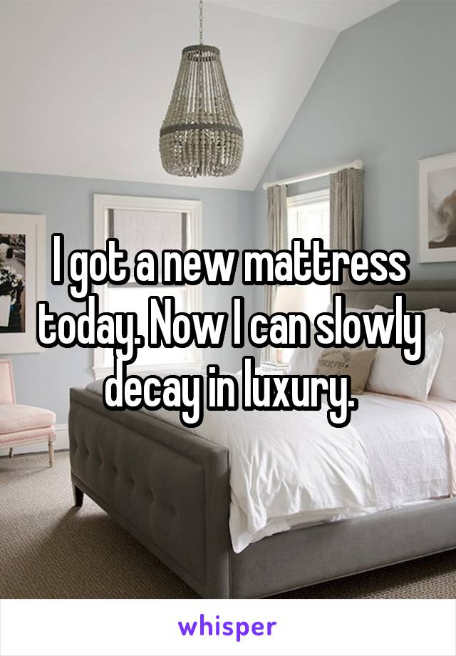I got a new mattress today. Now I can slowly decay in luxury.