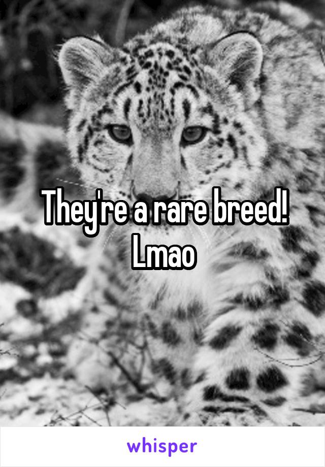 They're a rare breed! Lmao