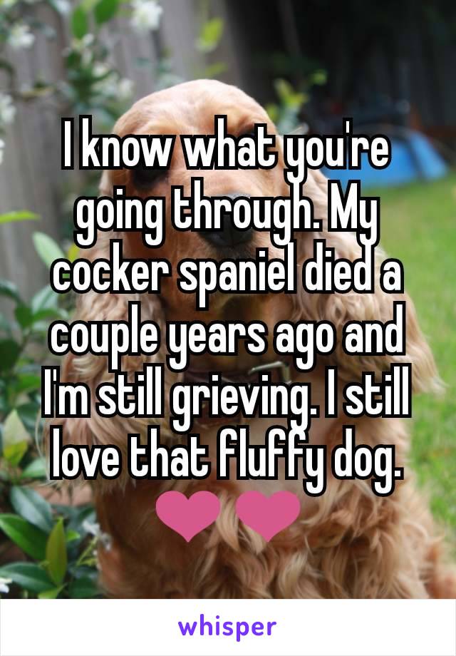 I know what you're going through. My cocker spaniel died a couple years ago and I'm still grieving. I still love that fluffy dog. ❤️❤️